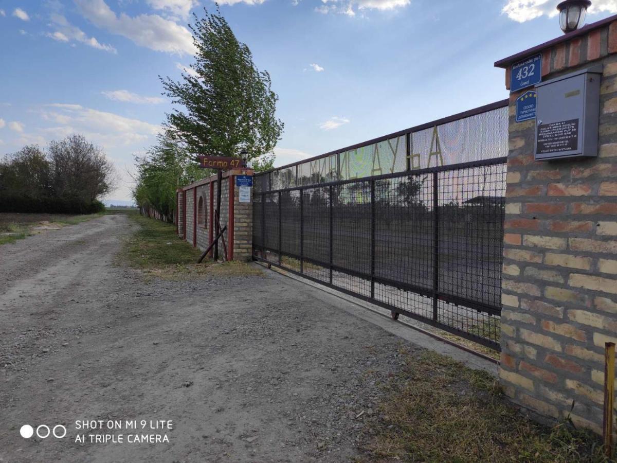 Salas Farma 47-Miris Dunja Čenej エクステリア 写真