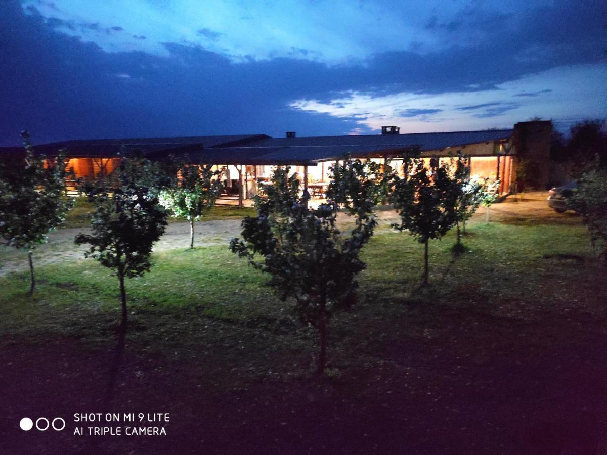 Salas Farma 47-Miris Dunja Čenej エクステリア 写真