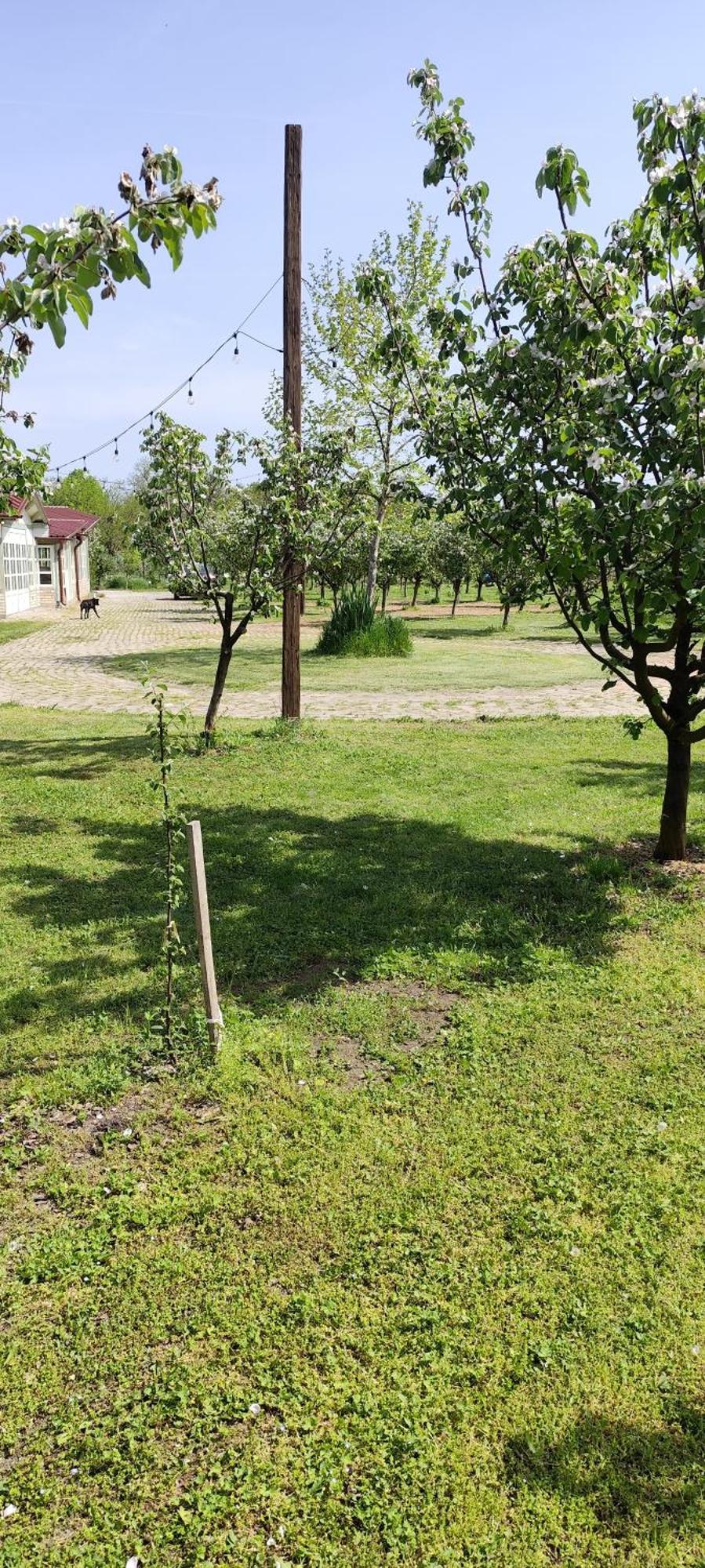 Salas Farma 47-Miris Dunja Čenej エクステリア 写真