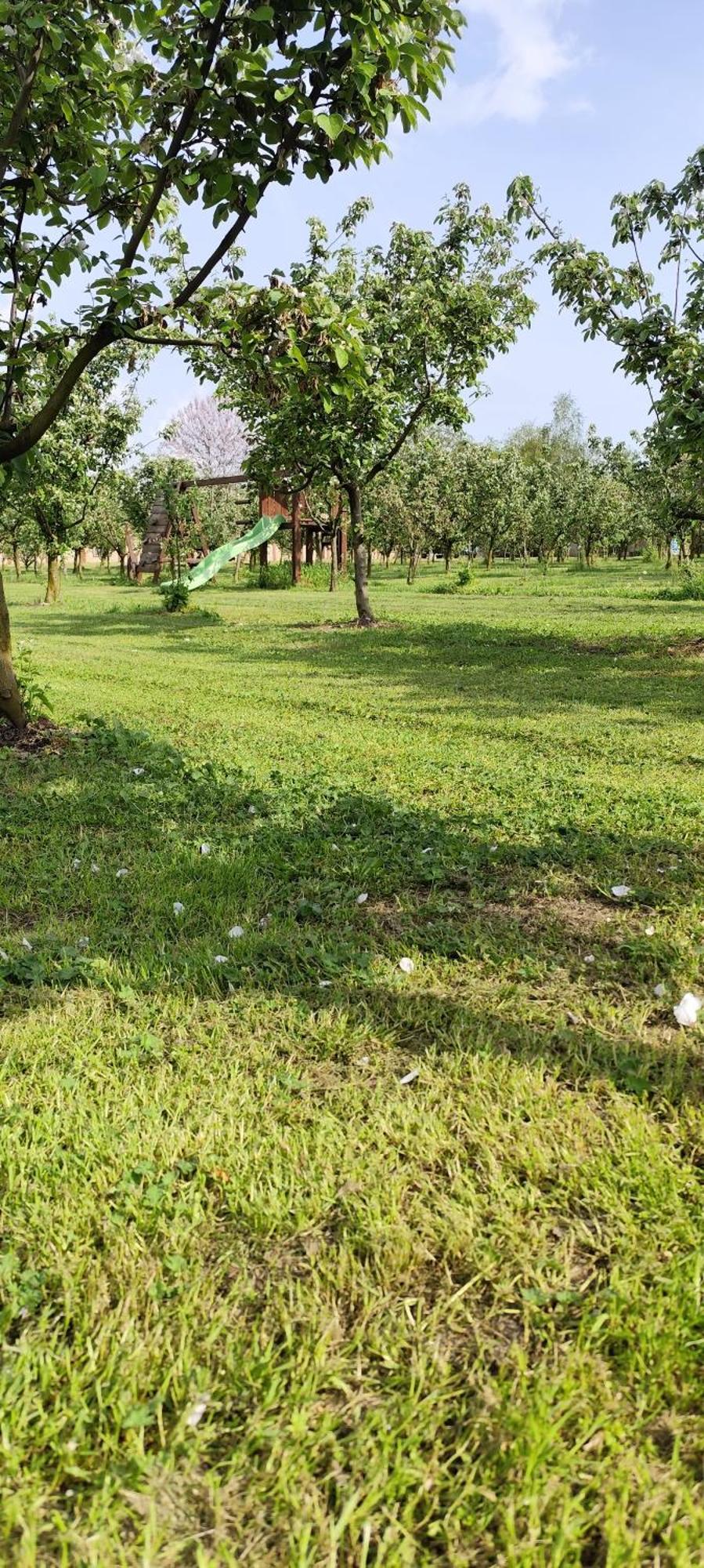 Salas Farma 47-Miris Dunja Čenej エクステリア 写真