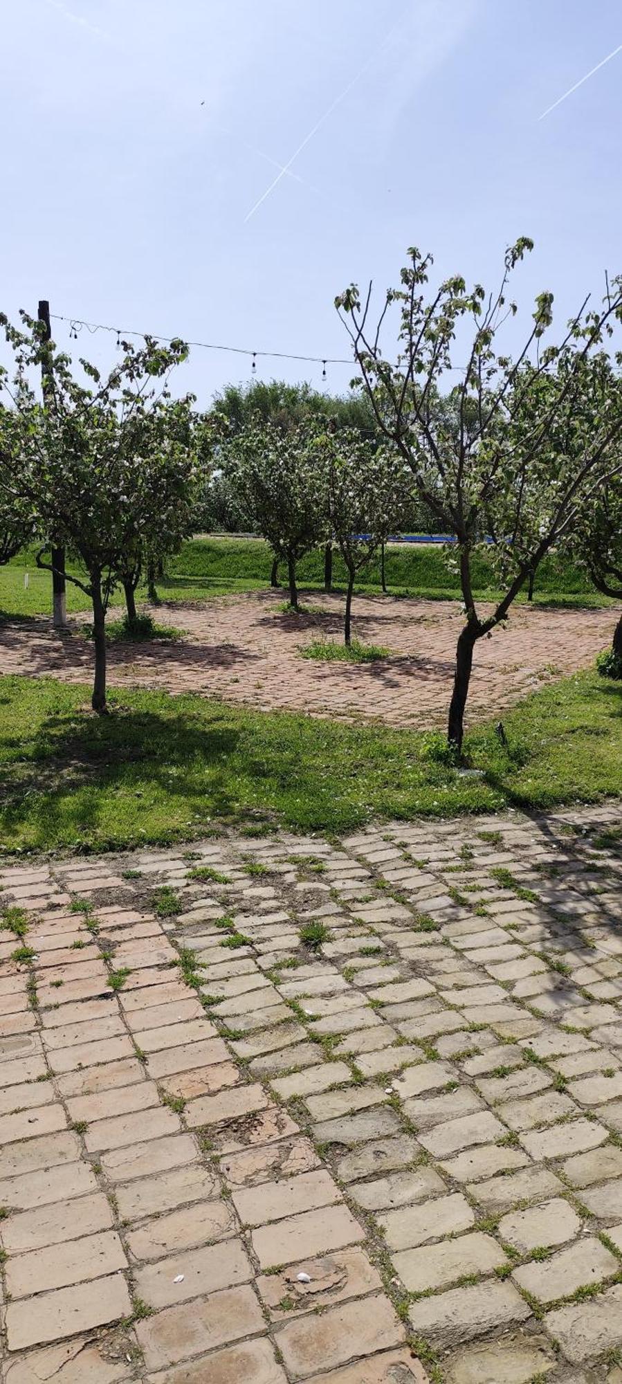 Salas Farma 47-Miris Dunja Čenej エクステリア 写真