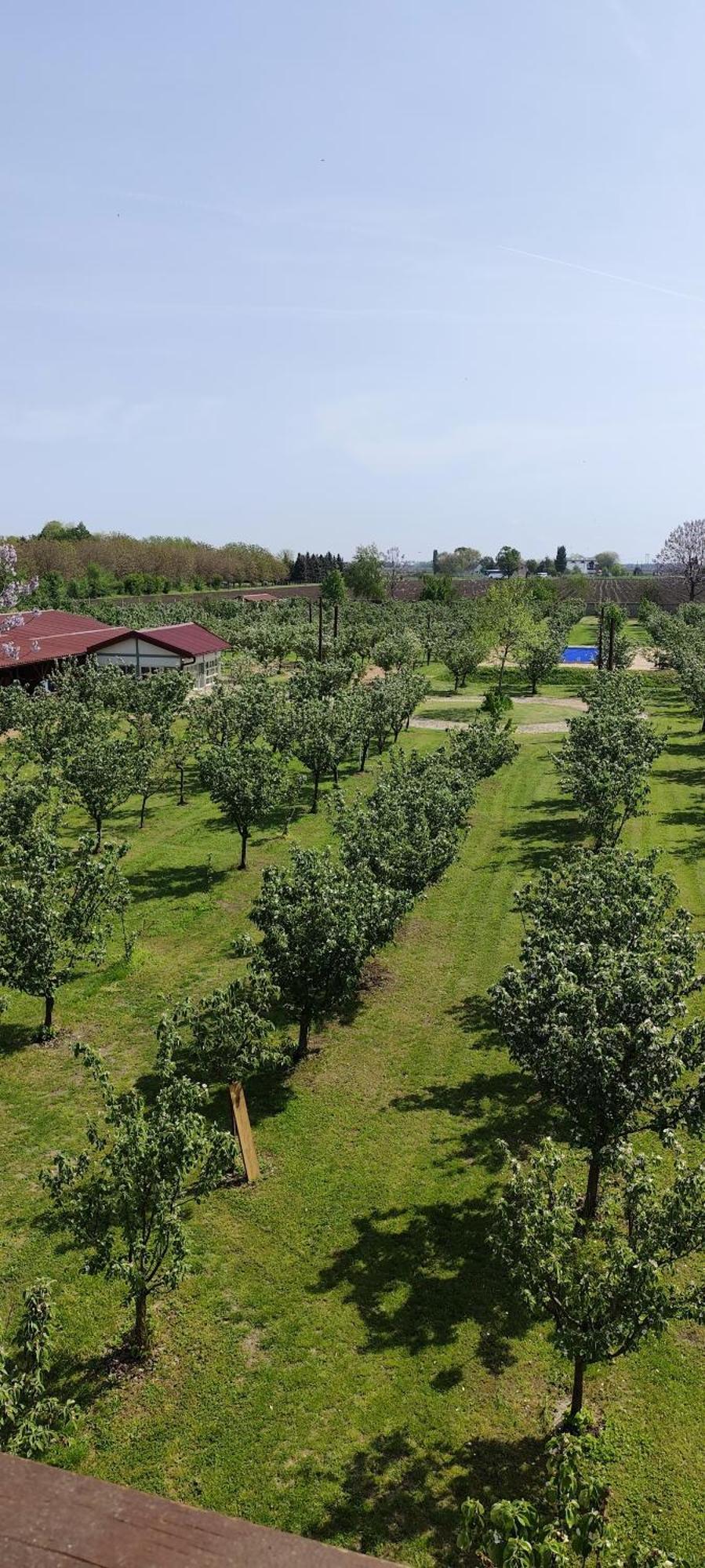 Salas Farma 47-Miris Dunja Čenej エクステリア 写真