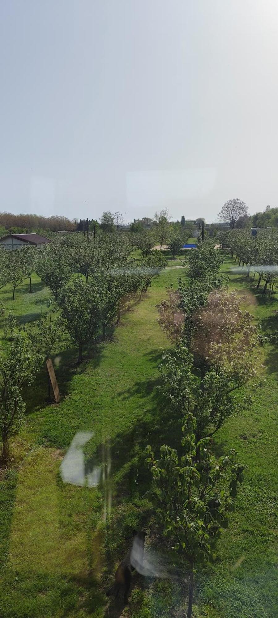Salas Farma 47-Miris Dunja Čenej エクステリア 写真