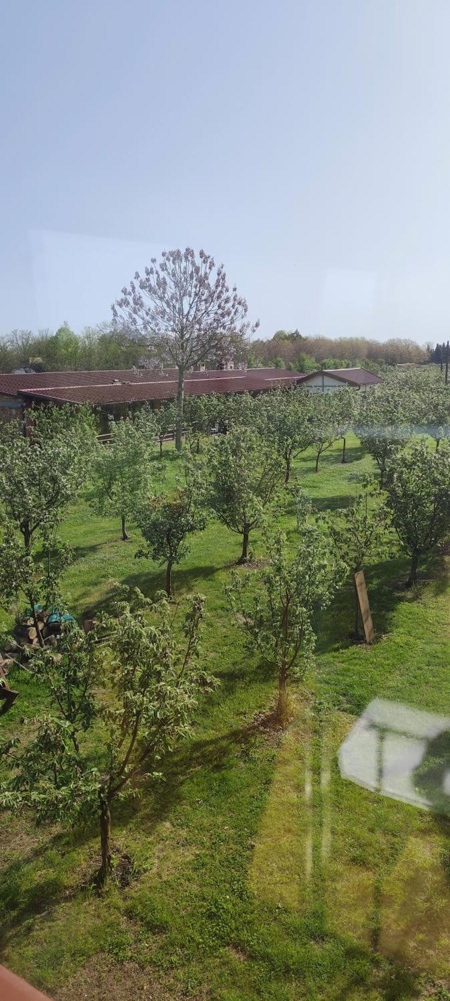 Salas Farma 47-Miris Dunja Čenej エクステリア 写真